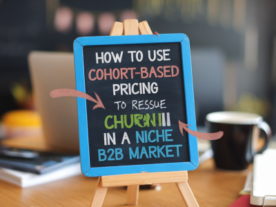 how to use cohort-based pricing to rescue churn in a niche b2b market